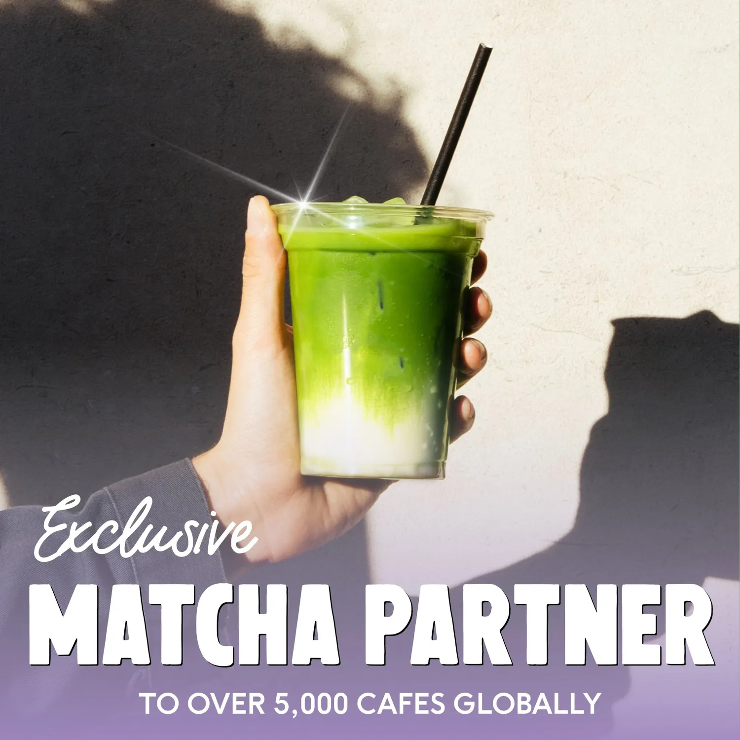 Perfect Ted Blueberry Matcha pulver 75g – bärsmak