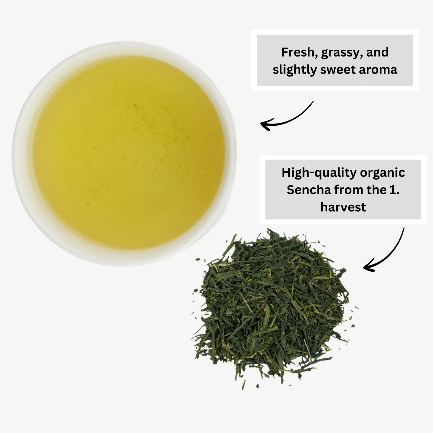 Matcha Magic Sencha grönte 80 g premium