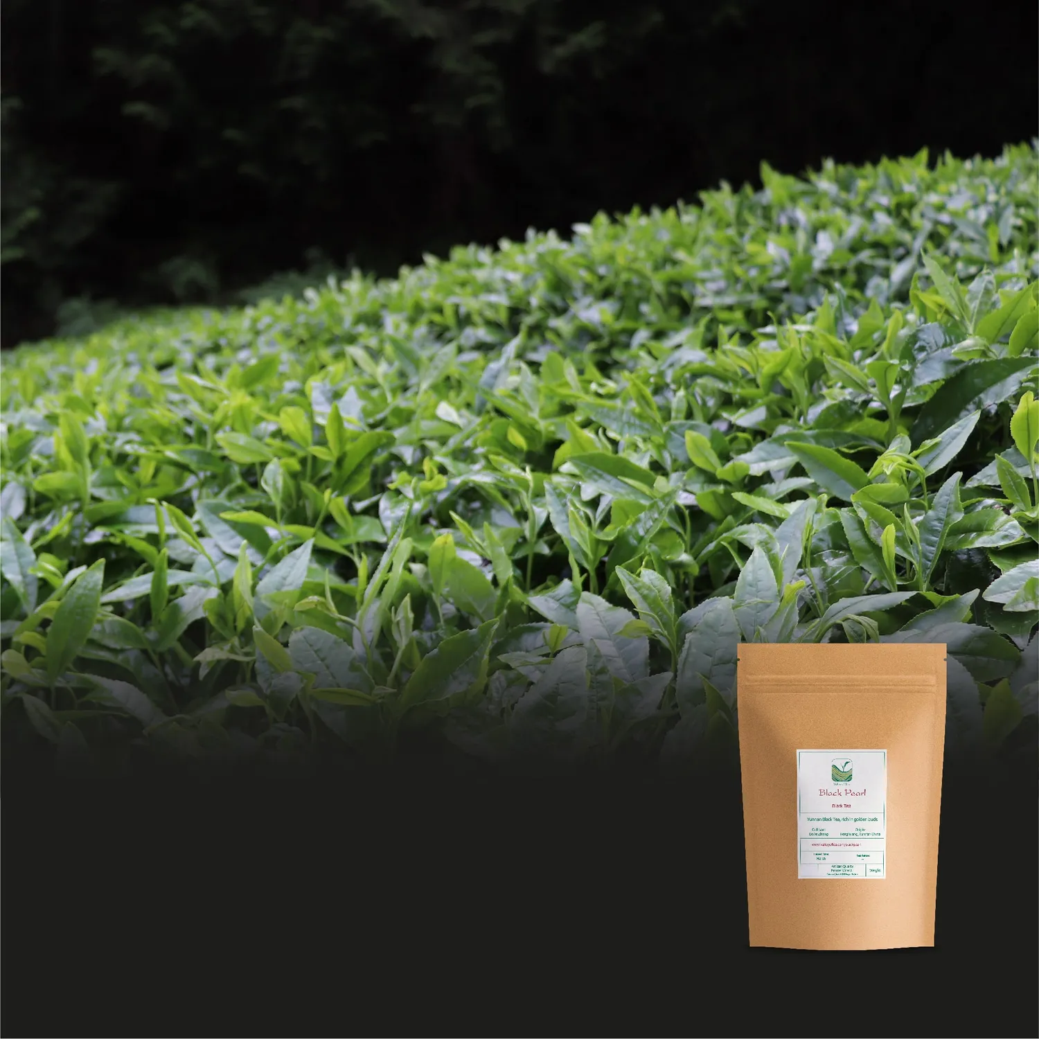 Valley of Tea Yunnan Pärl svart te 100g maltig