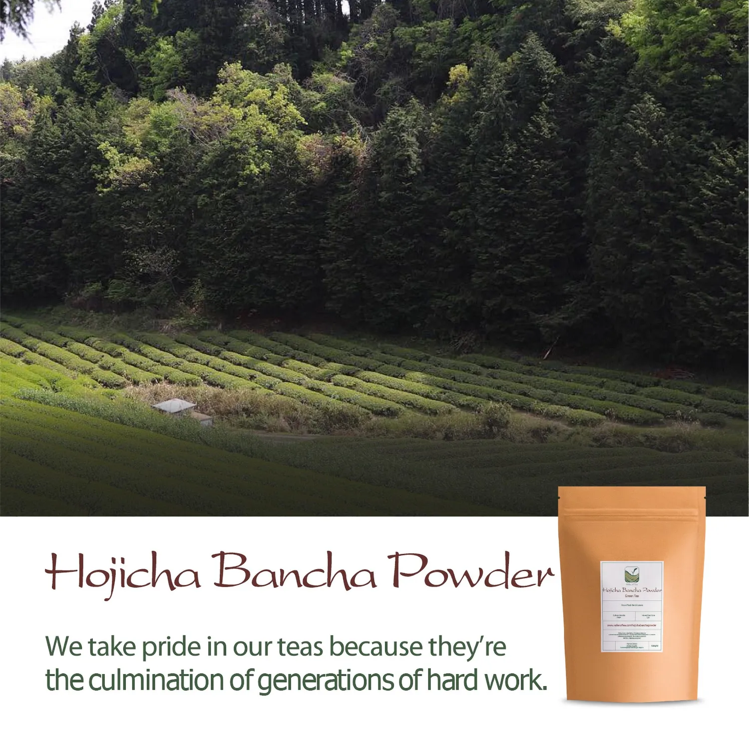 Valley of Tea Hojicha Bancha pulver 200g rostat