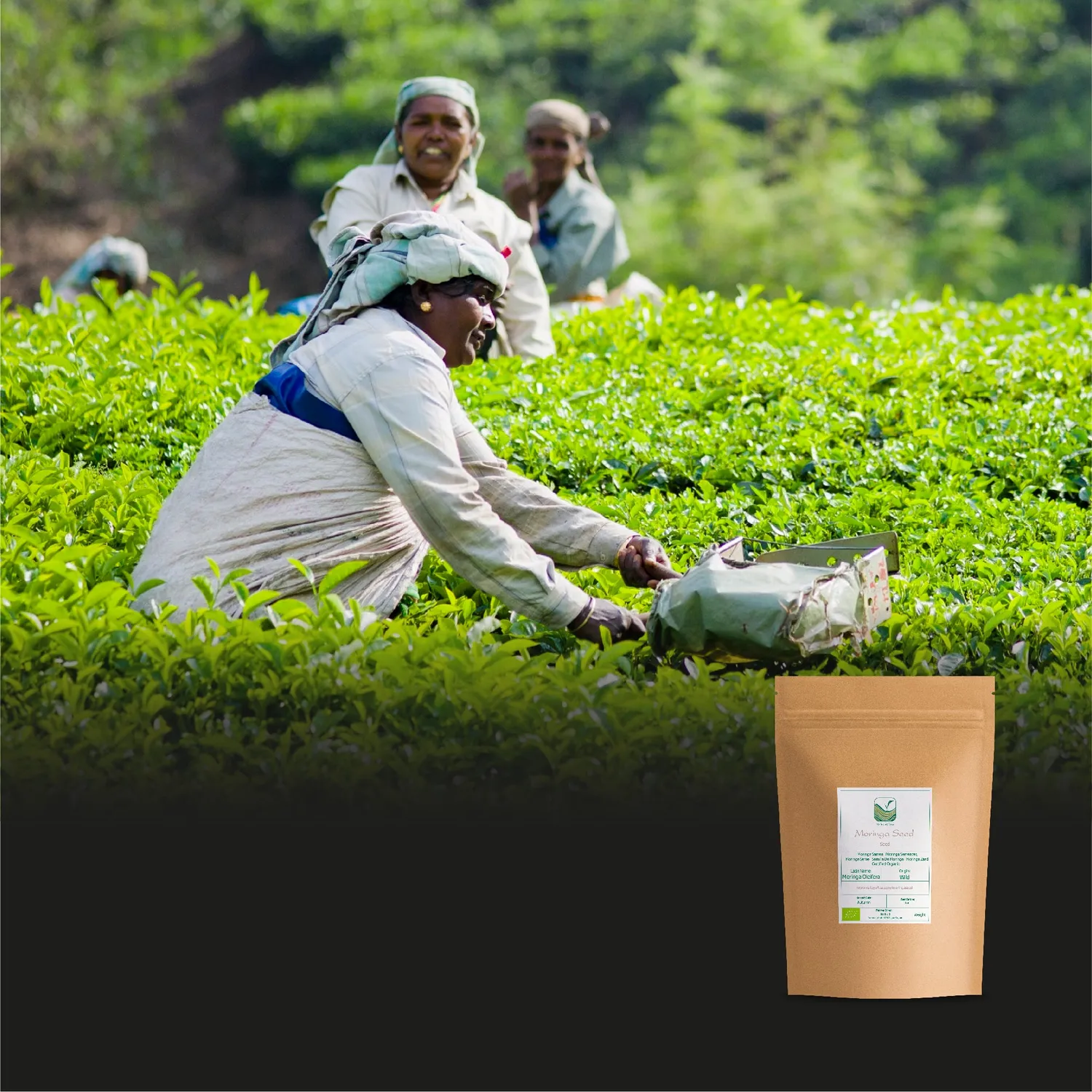 Valley of Tea Himalayan Flowery svart te 100g maltig