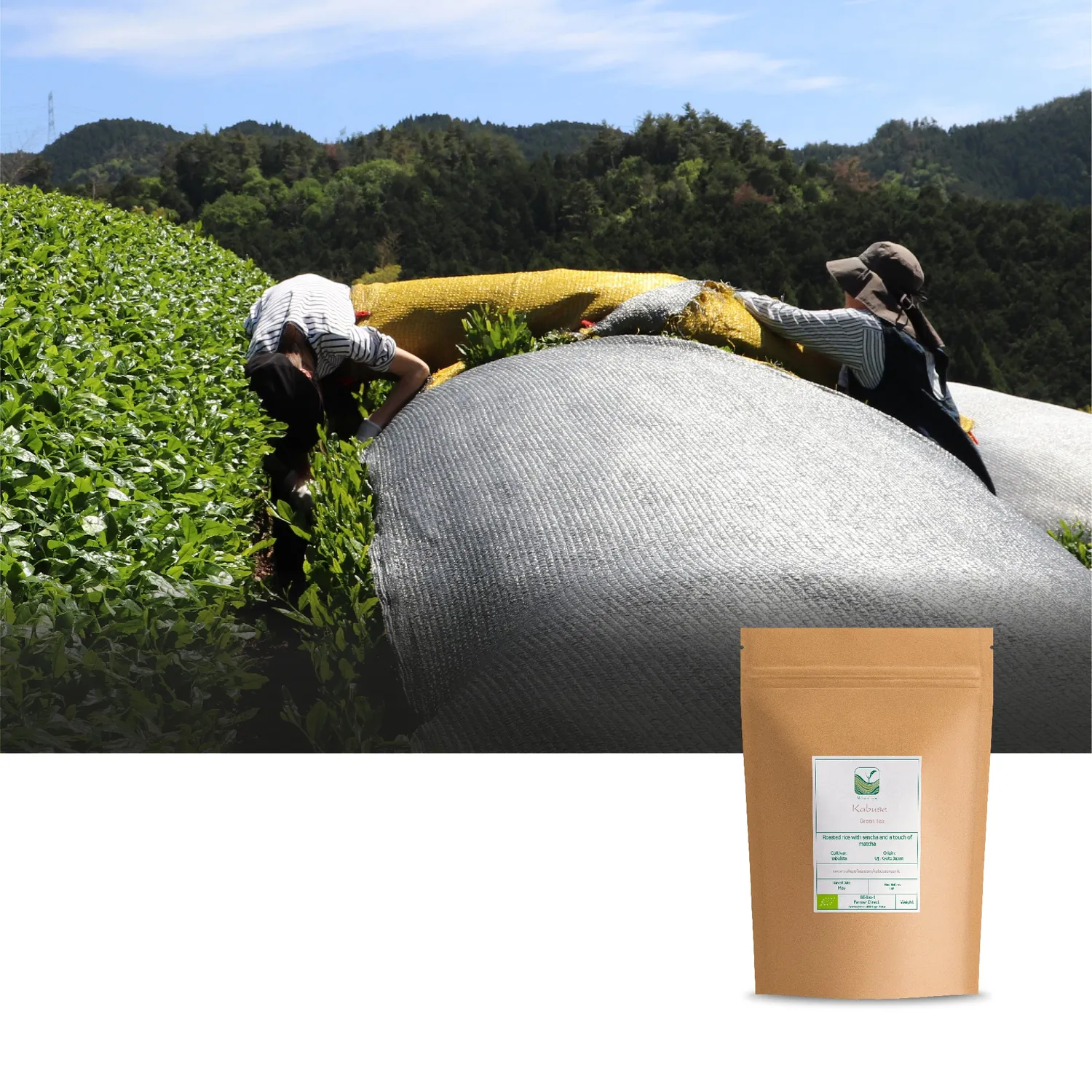 Valley of Tea Kabuse grönt te 25g Japan söt
