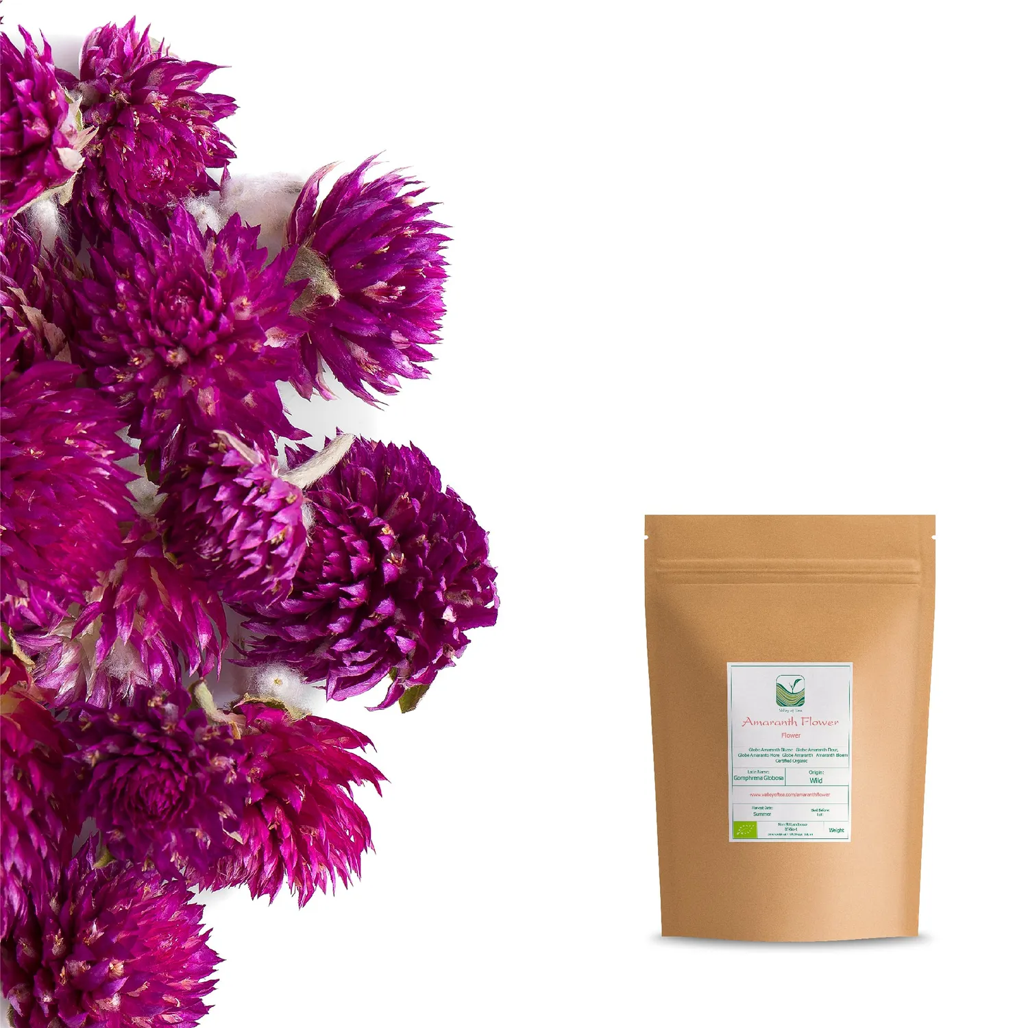 Valley of Tea Amarantblomma blomte 50g rosa
