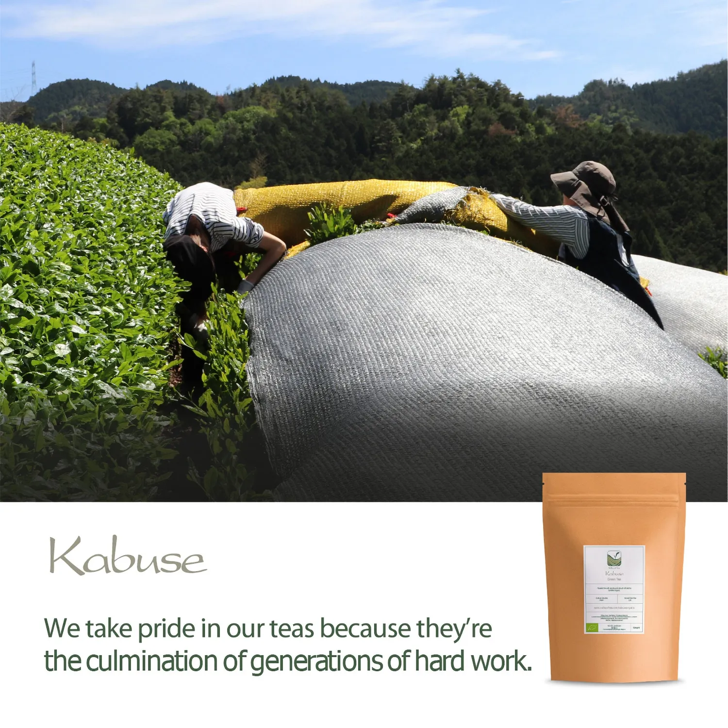 Valley of Tea Kabuse grönt te 25g Japan söt