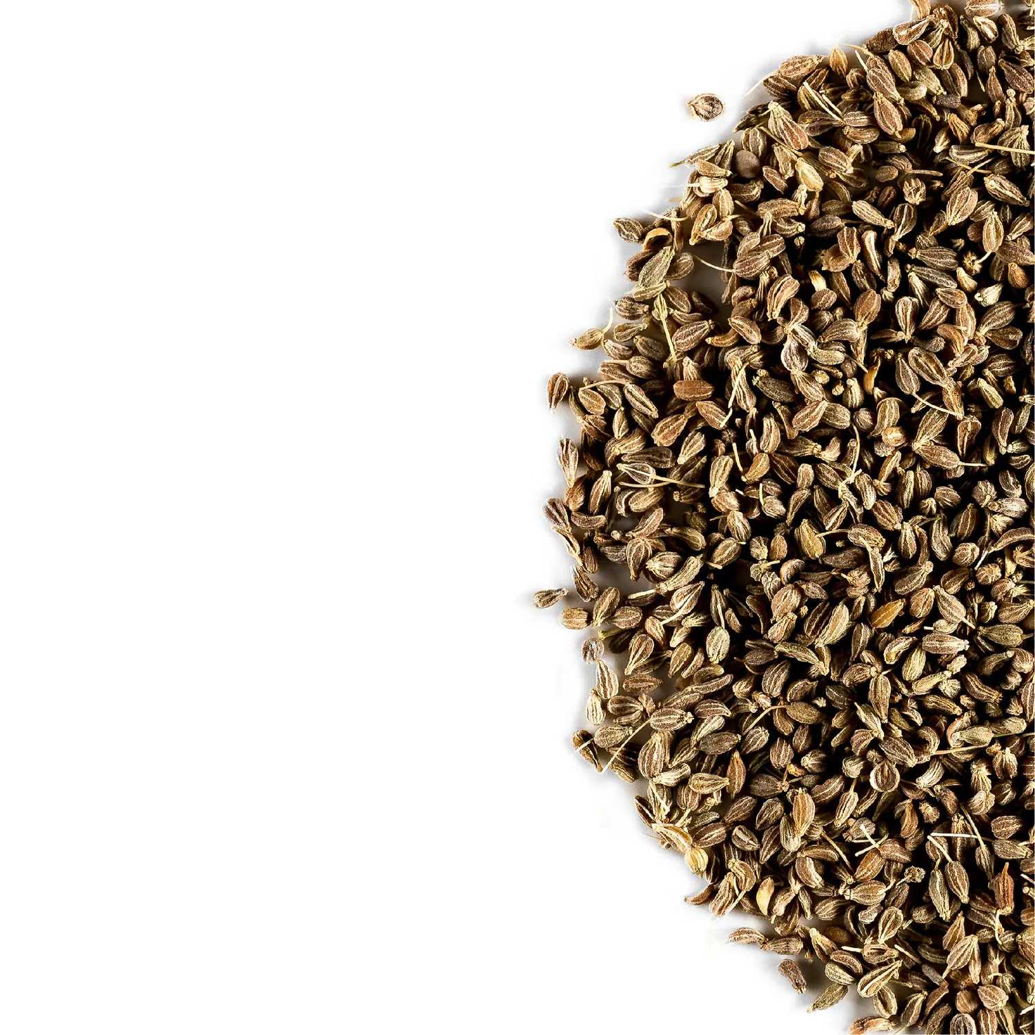 Valley of Tea Anisfrön örtte lösvikt 100g ekologisk