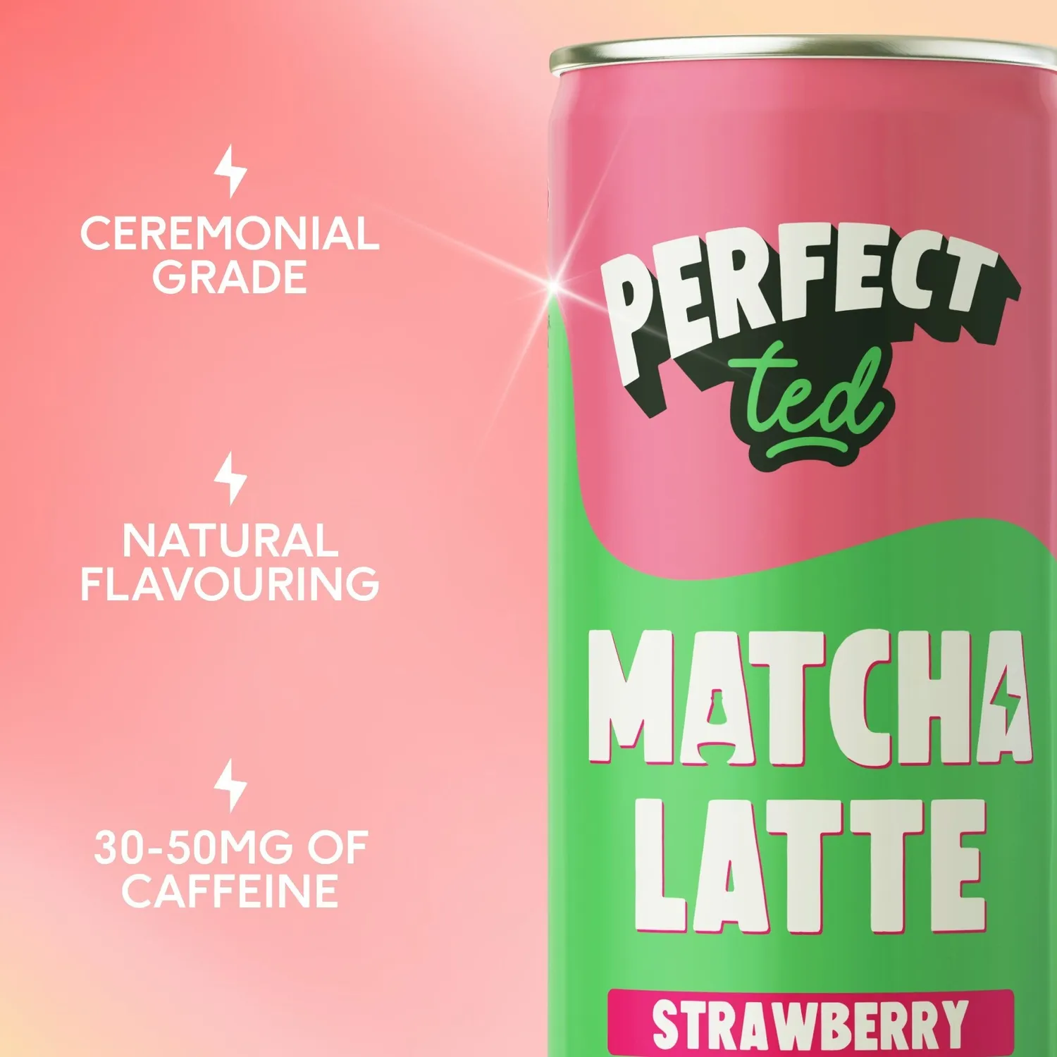 Perfect Ted Matcha Latte bundle 24x250ml bär