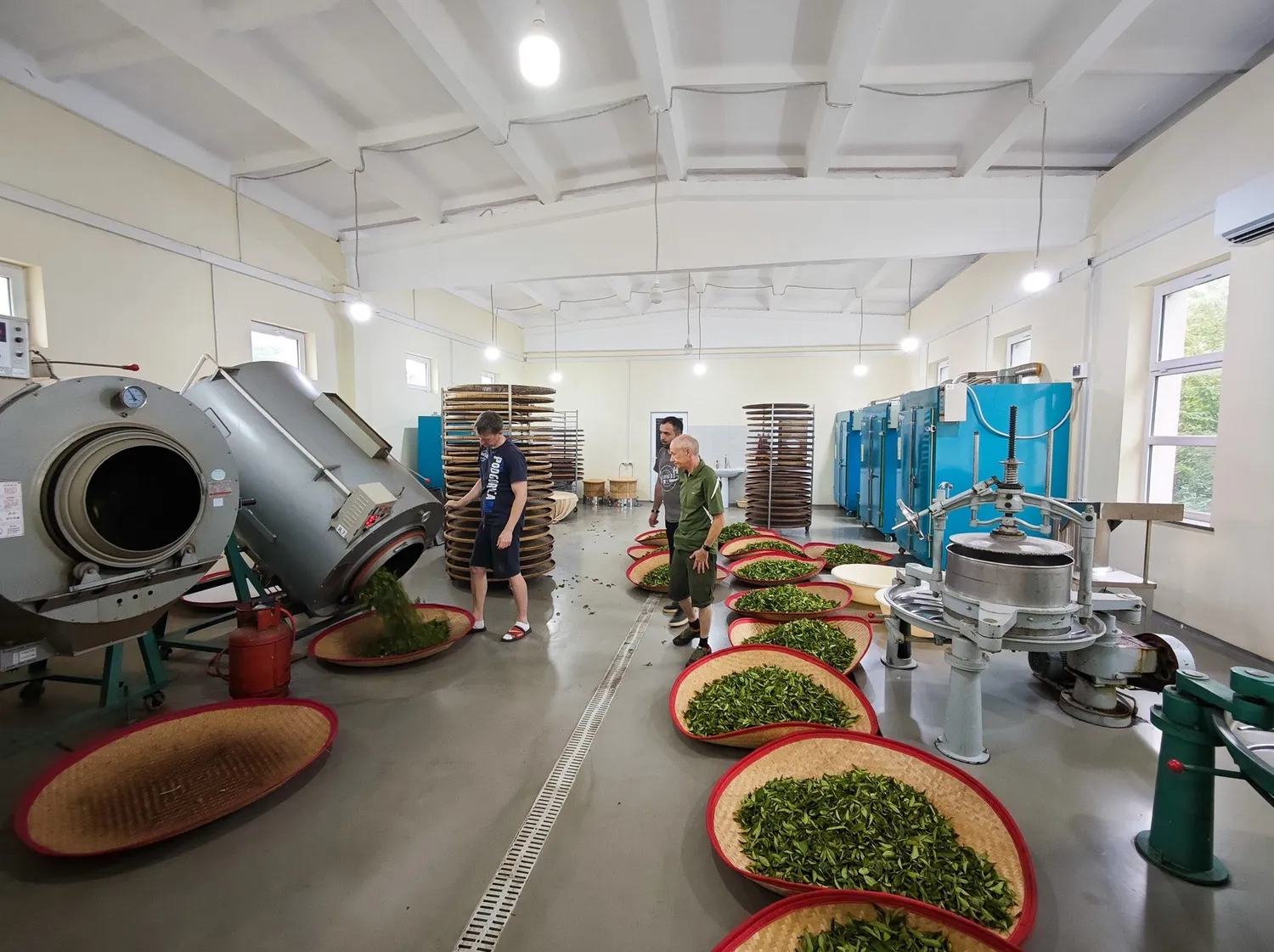 Renegade Tea Estate Bootcamp te-kurs bokning 2026
