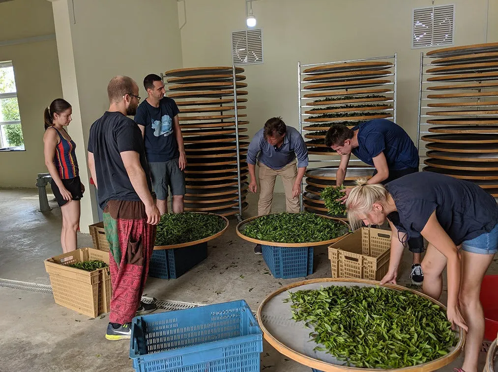 Renegade Tea Estate Bootcamp te-kurs bokning 2026