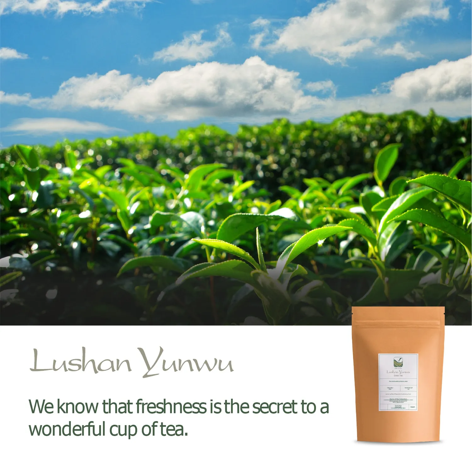 Valley of Tea Lushan Yunwu grönt te 100g söt maltig