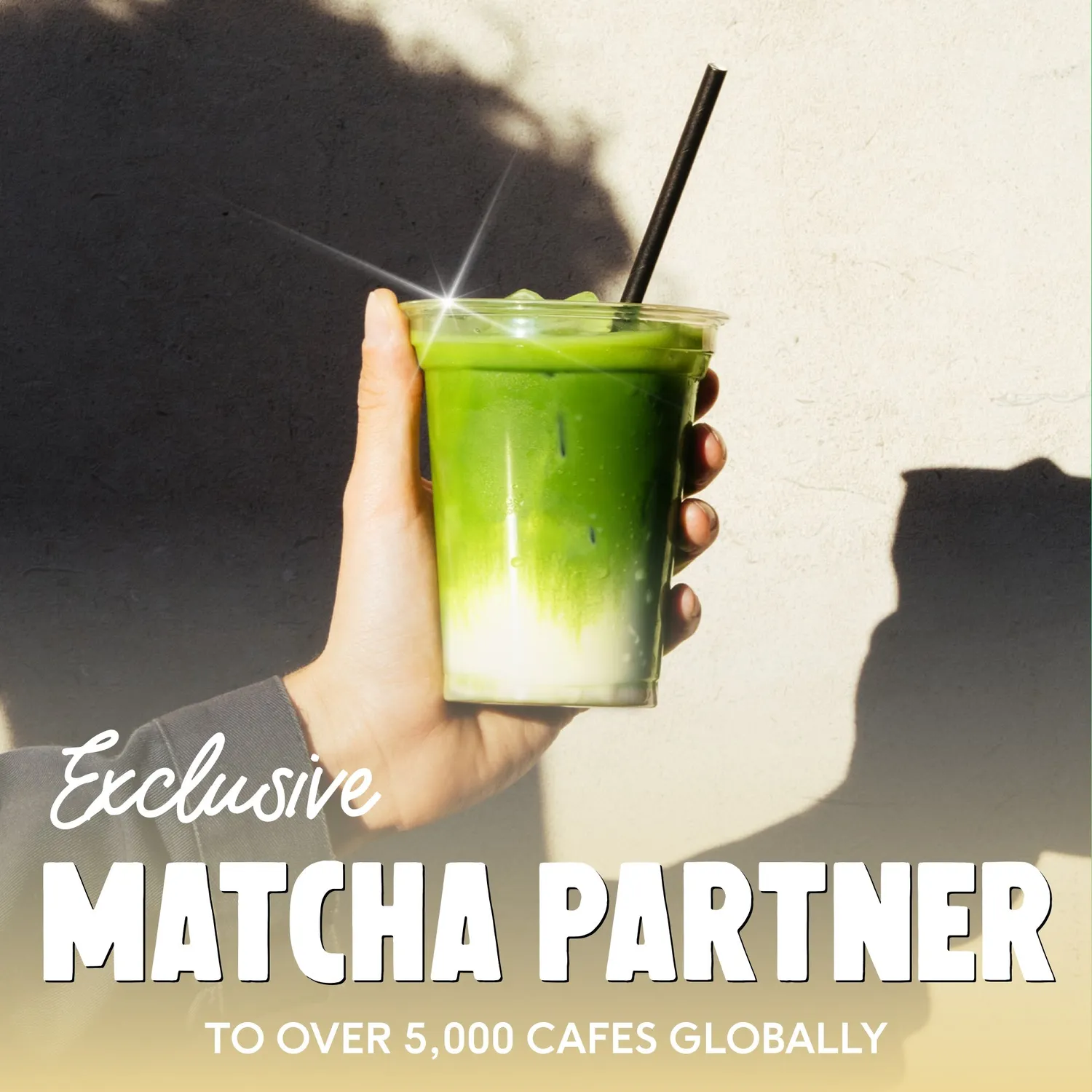 Perfect Ted Vanilla Matcha pulver 75g – vaniljsmak