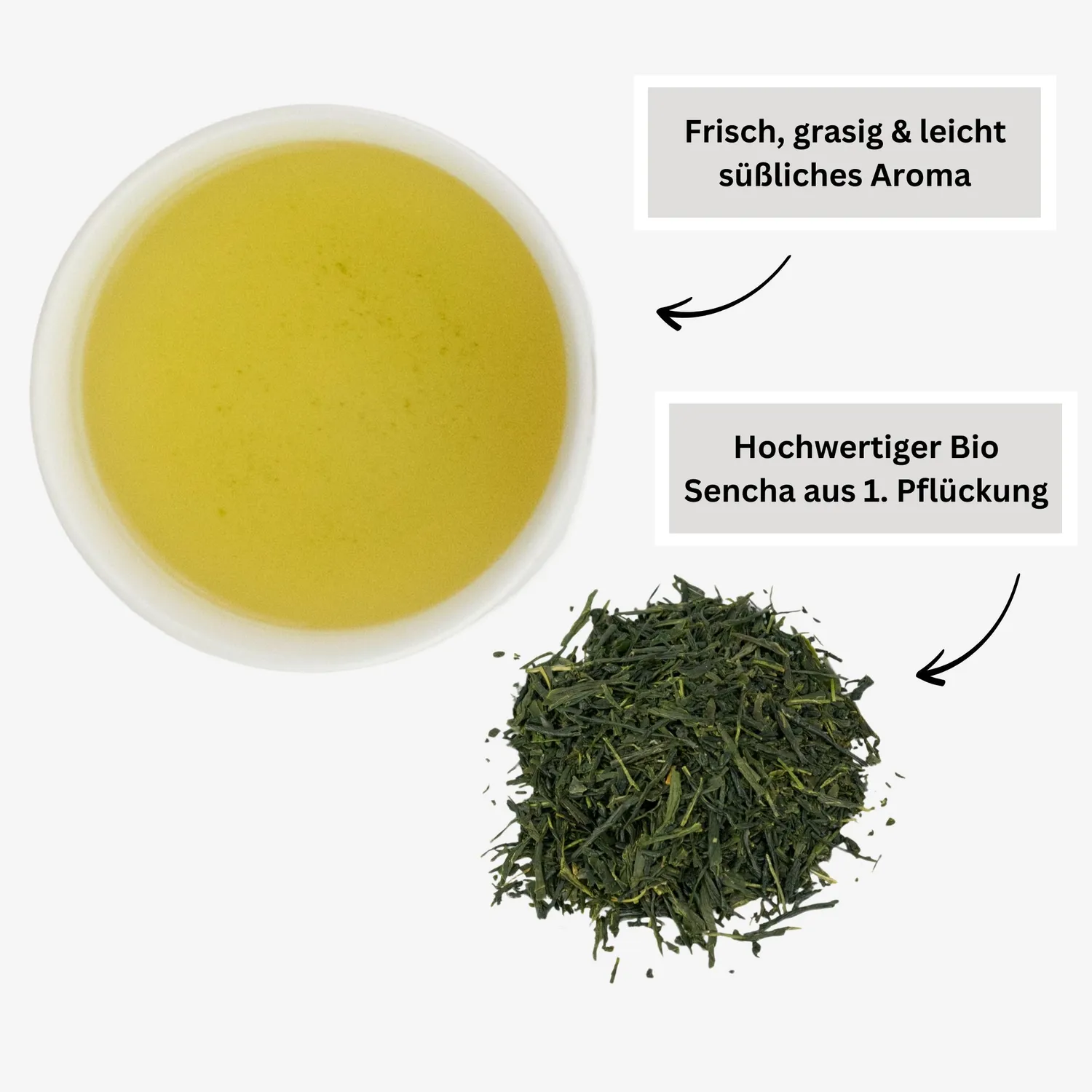 Matcha Magic Sencha grönt te 80 g fräsch umami