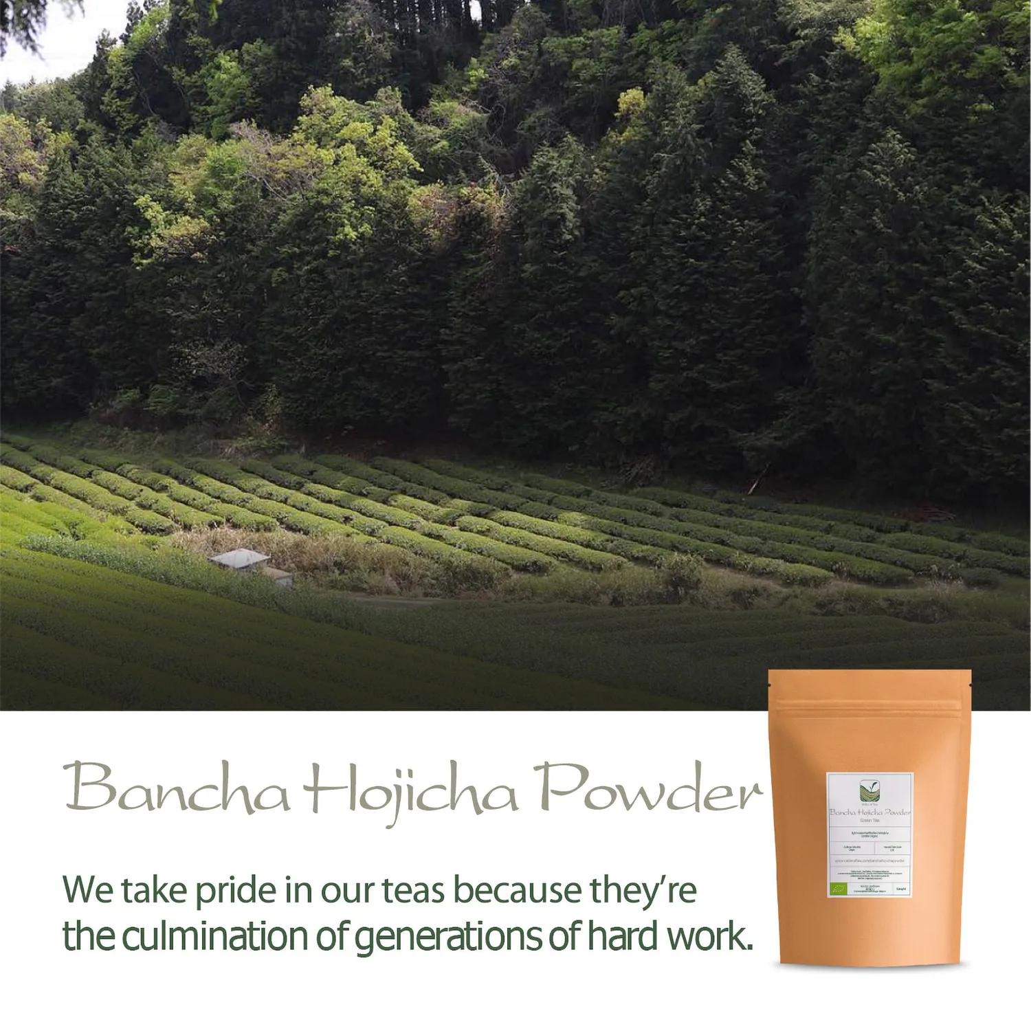 Valley of Tea Hojicha Bancha pulver 50g rostat