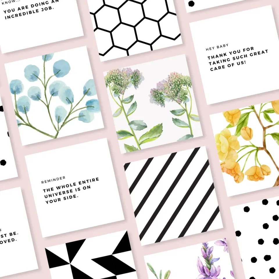 Birds & Bees Tea Love Notes kärlekskort komplett set
