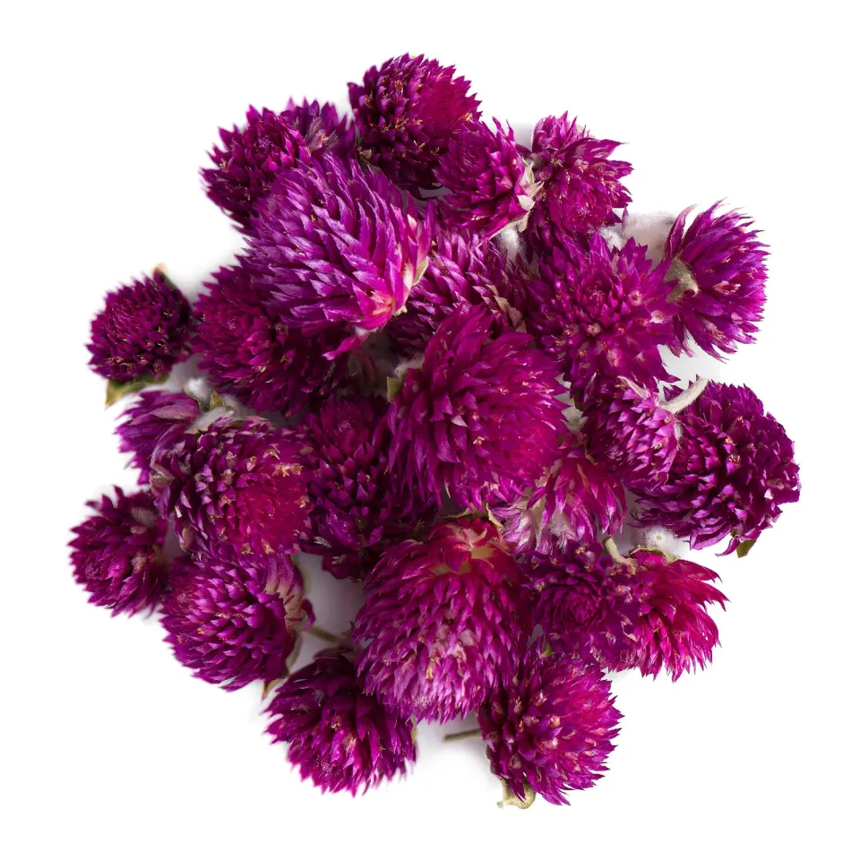 Valley of Tea Amarantblomma blomte 50g rosa