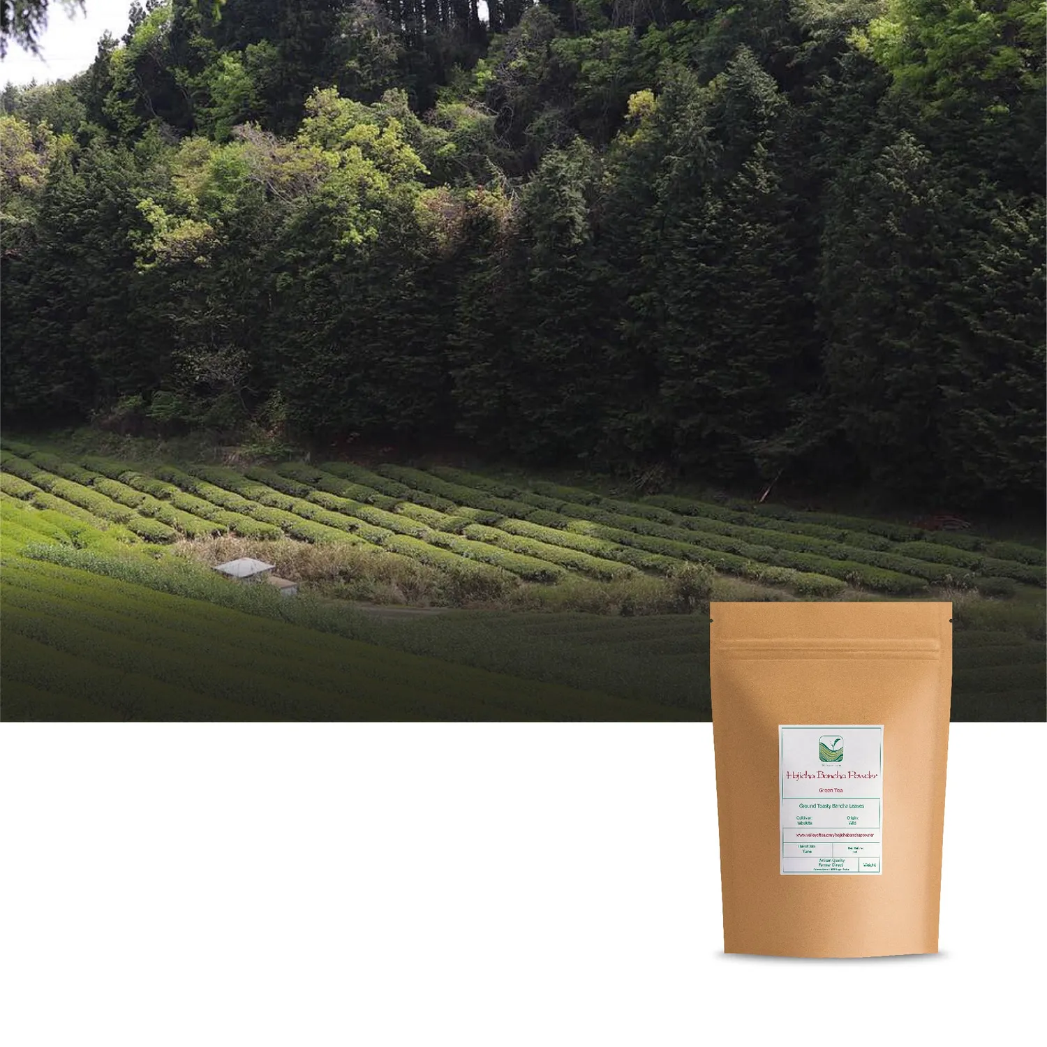 Valley of Tea Hojicha Bancha pulver 200g rostat