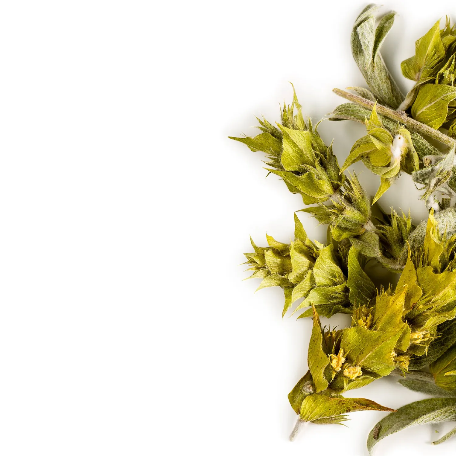 Valley of Tea Grekiskt Bergste örtte 100g