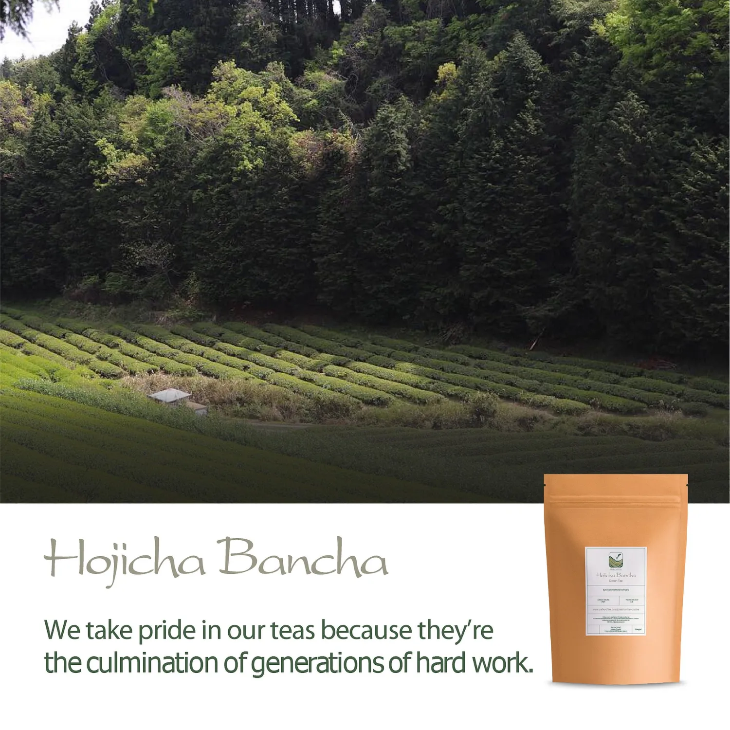 Valley of Tea Hojicha Bancha grönt te 100g rostat