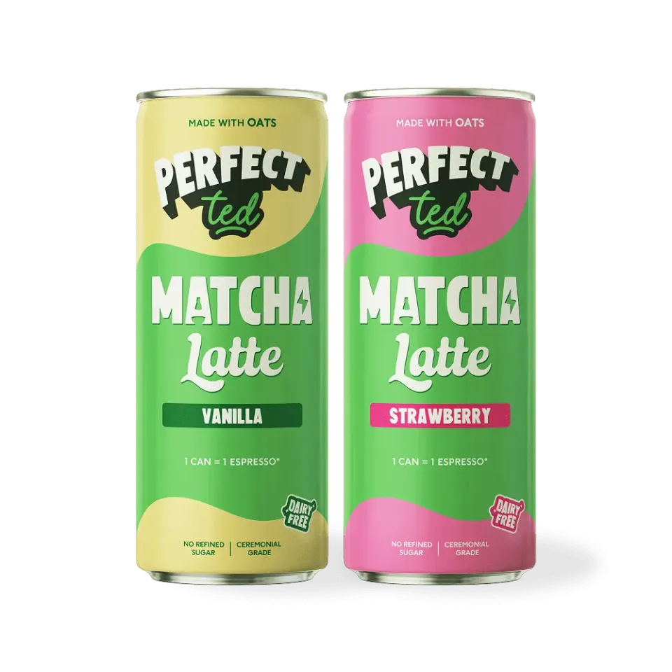Perfect Ted Matcha Latte bundle 24x250ml bär