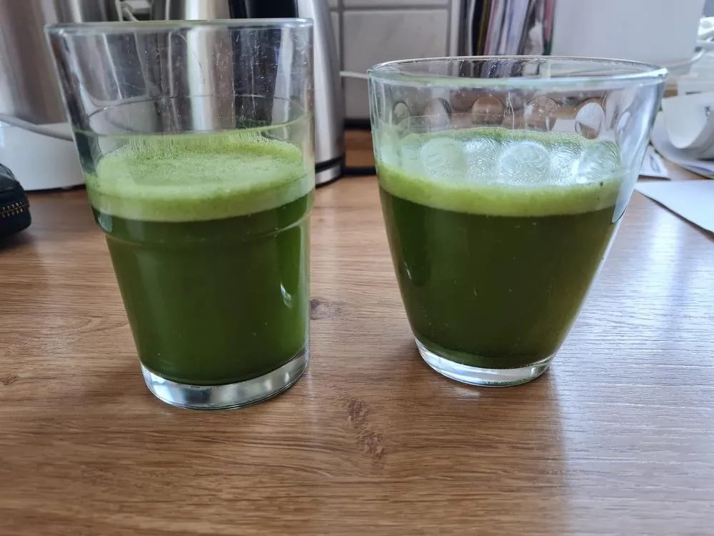 Matcha Magic Tenno matcha 30g ceremoniell