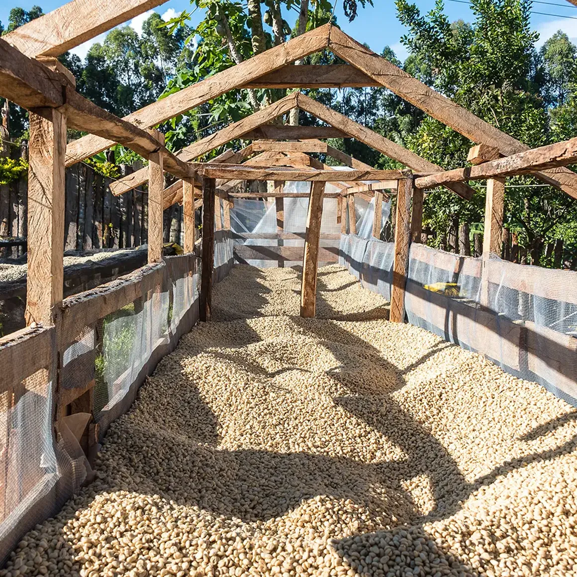Gringo Kenya Karimikui AA ursprungskaffe 250g fruktig