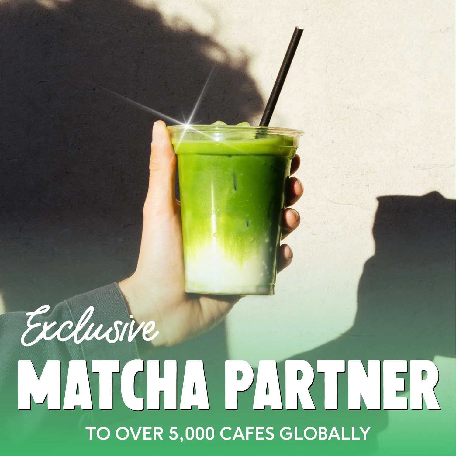 Perfect Ted Best Seller matcha pulver original vanilj 2-pack