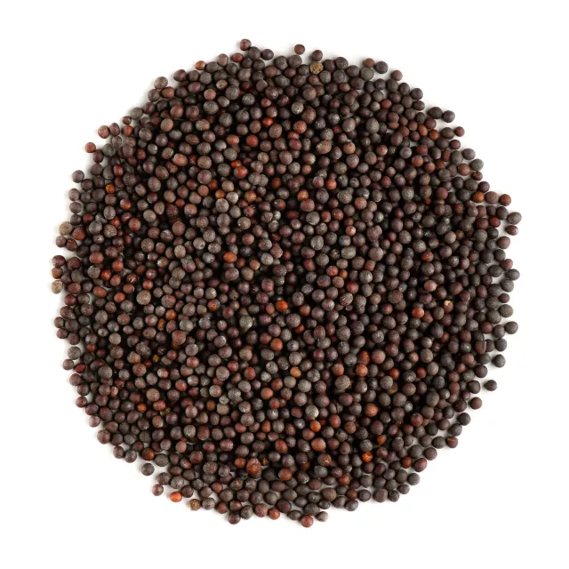 Valley of Tea Svartsenapsfrö krydda 200g ekologisk