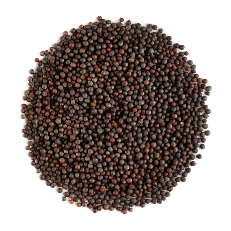 Valley of Tea Svartsenapsfrö krydda 200g ekologisk
