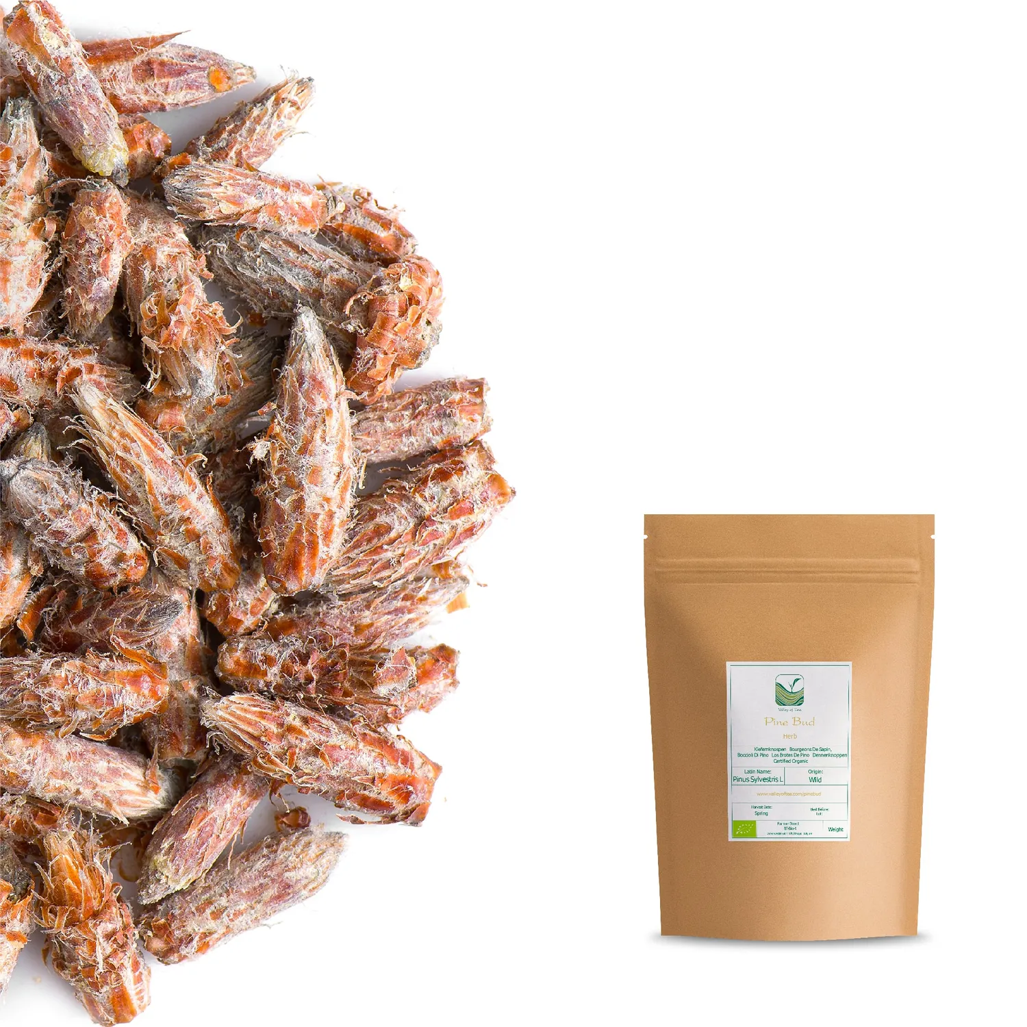 Valley of Tea Tallknoppar örtte 50g barrfräsch