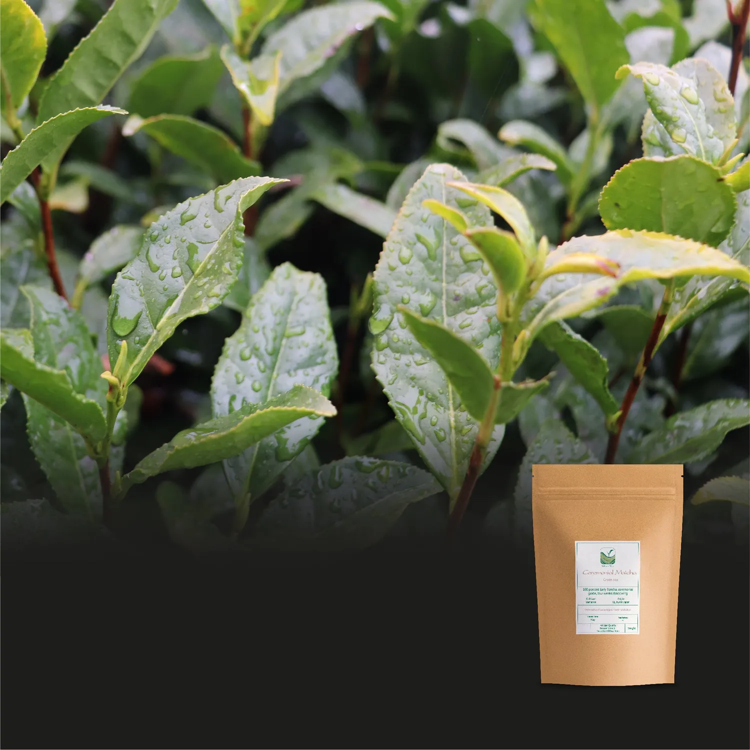 Valley of Tea Ceremonial Matcha 30g Japan