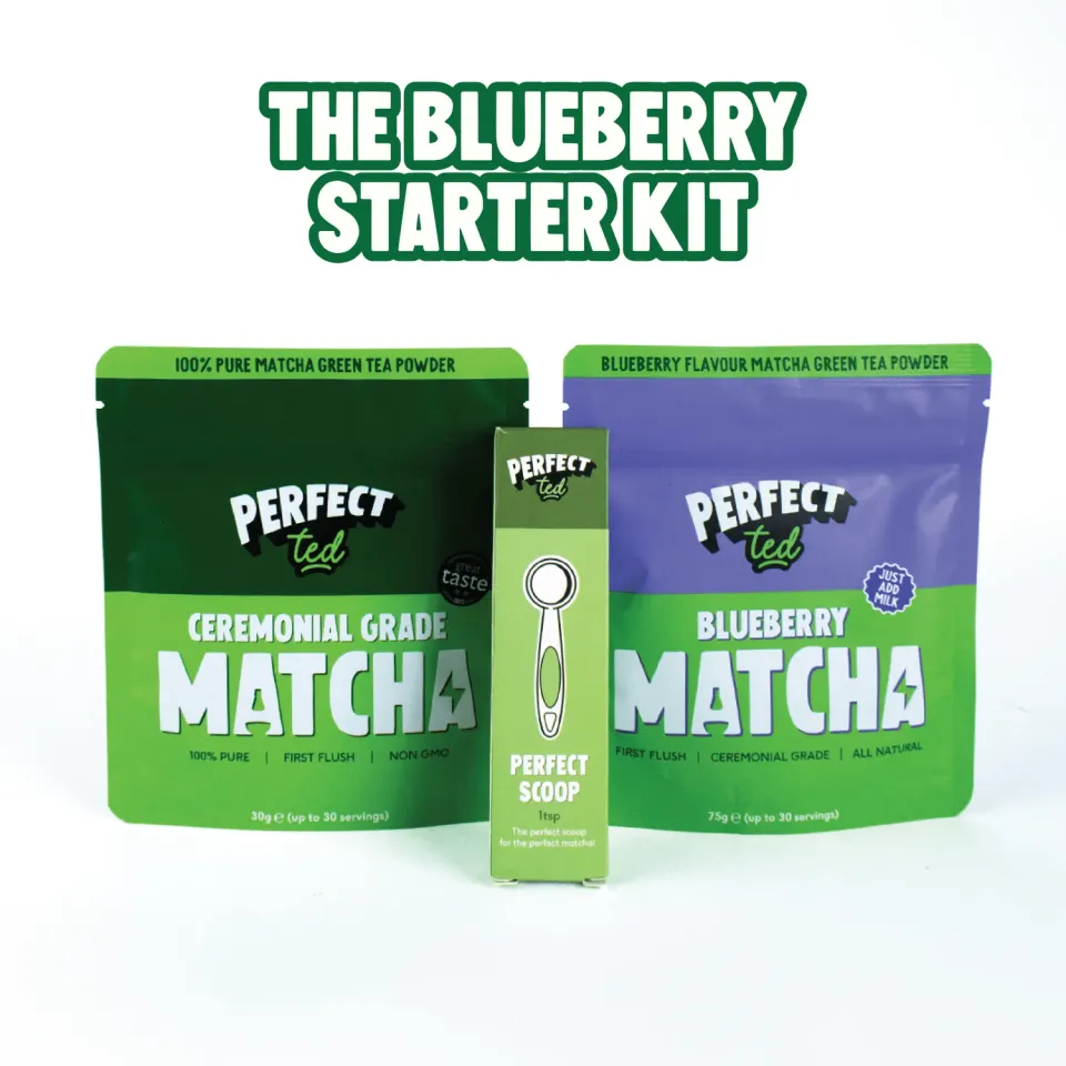 Perfect Ted Blueberry Starter Kit matchapulver 2-pack mild