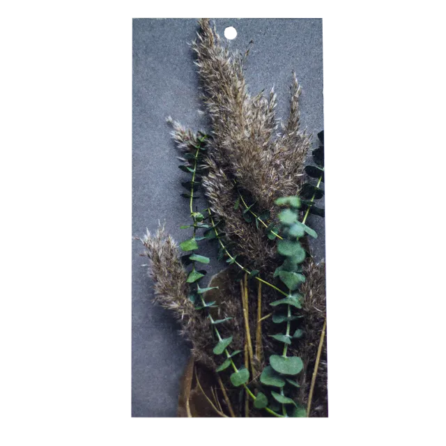 Bönor & Blad Torkad bukett hangtag eukalyptus 10 cm