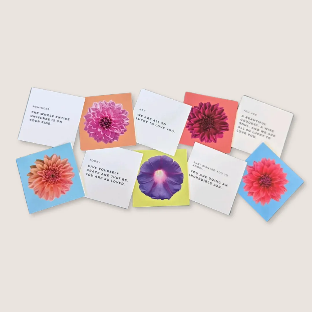 Birds & Bees Tea Love Notes kärlekskort komplett set