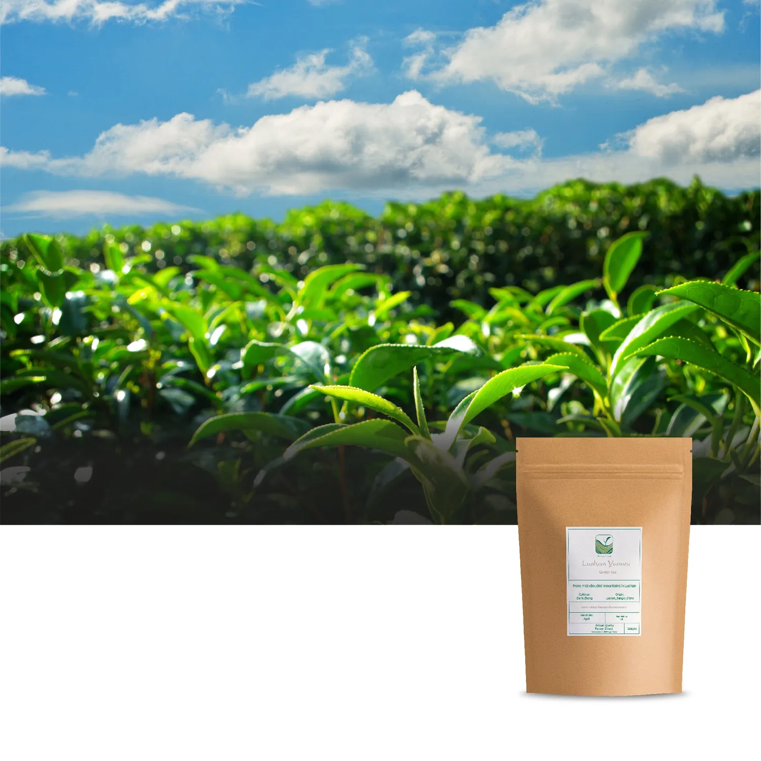 Valley of Tea Lushan Yunwu grönt te 100g söt maltig