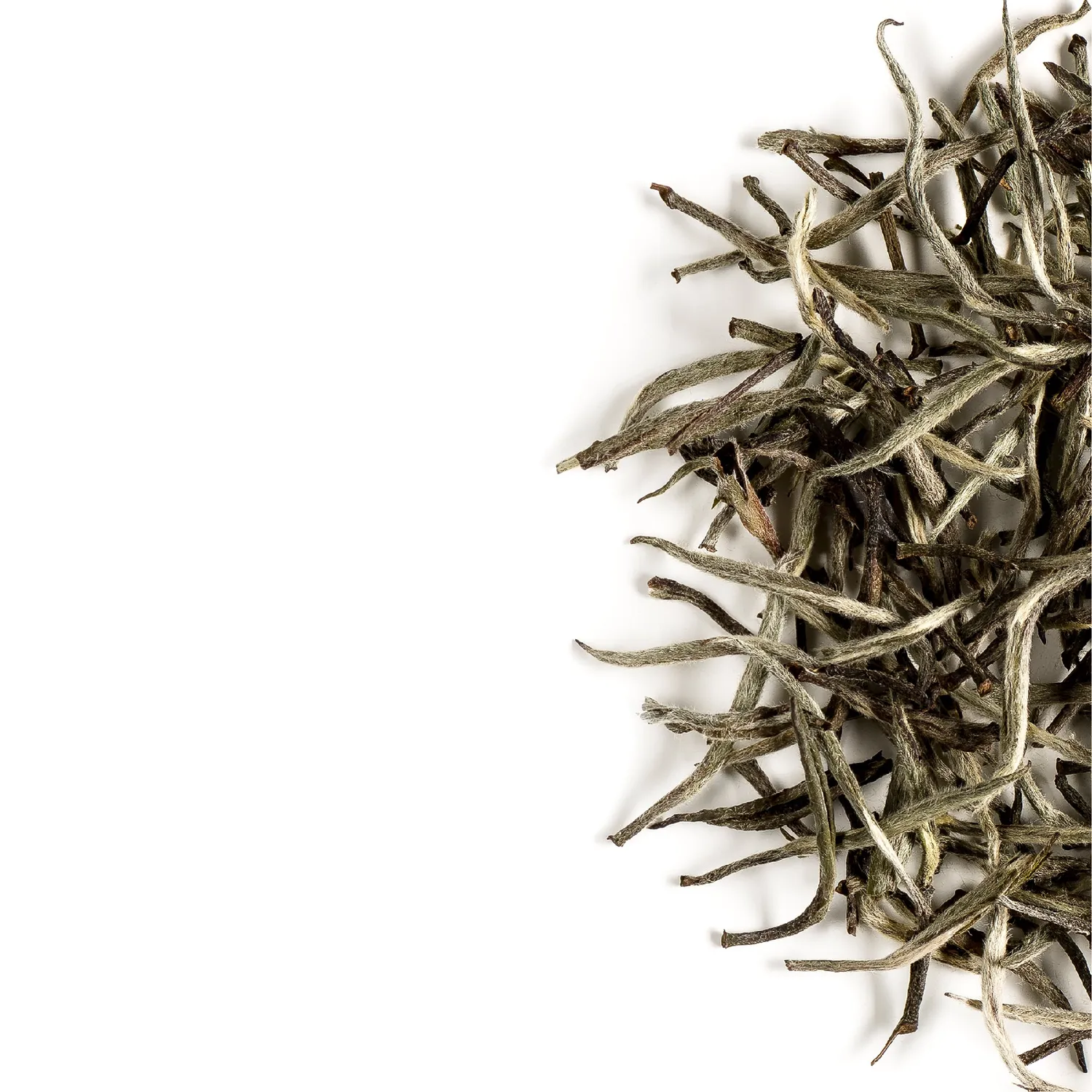 Valley of Tea Silvernål vitt te 50g lösvikt mild